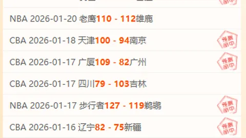 霍芬海姆迎战达姆施塔特 第16轮德甲赛事